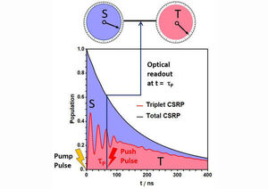 Snapshots from the quantum world