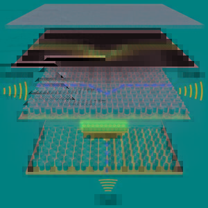 The first topological acoustic transistor