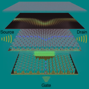 The first topological acoustic transistor