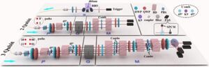 Researchers Develop Eminent Quantum Gate Testing Method