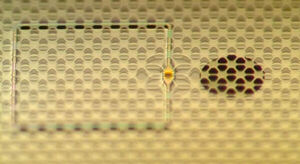 A quantum drum that stores quantum states for record-long times