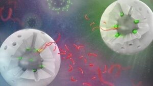 A unique catalyst paves the way for plastic upcycling