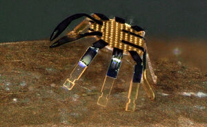 Tiny robotic crab is smallest-ever remote-controlled walking robot