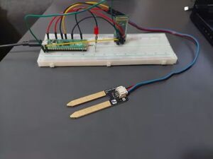 Soil moisture sensor with message notification