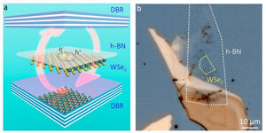 ITMO Scientists Suggest Way to Control Optical Properties of Novel 2D Materials in Low Temperatures