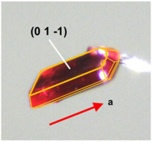 NREL Researchers Create Order From Quantum Chaos