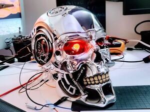 Terminator Skull