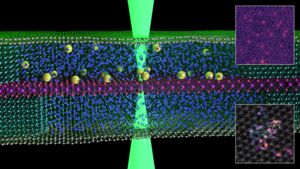 Graphene scientists capture first images of atoms ‘swimming’ in liquid