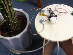 Plant Care System Based on Pi3 and Wio Node