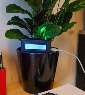 Build Your Own Plant Humidity Sensor