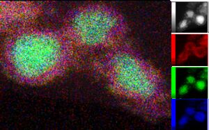 Green hydrogen: Nanostructured nickel silicide shines as a catalyst