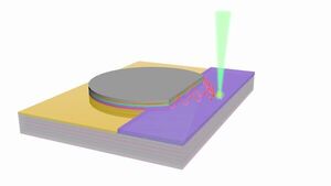 New photodetector design inspired by plant photosynthesis