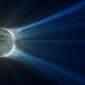 Catching the dynamic Coronal Web