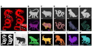 Shrinking Hydrogels Enlarge Nanofabrication Options