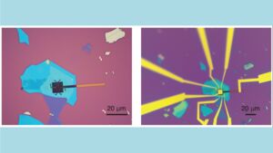 Superconductivity and Ferroelectricity Found in the Same 2D Material