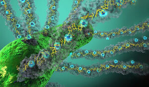 Light Accelerates Conductivity in Nature's 'Electric Grid'