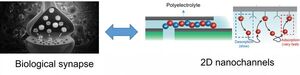 Graphene researchers discover long-term memory in 2D nanofluidic channels