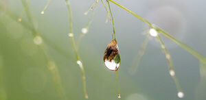 Sensing water for smarter agriculture