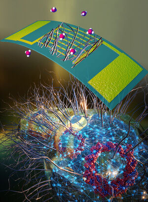 Umass Amherst Researchers Invent “Electronic Nose” Built With Sustainably Sourced Microbial Nanowires That Could Revolutionize Health Monitoring