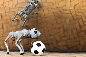 A four-legged robotic system for playing soccer on various terrains