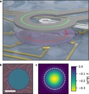 Magnetic imaging unlocks crucial property of 2D superconductor